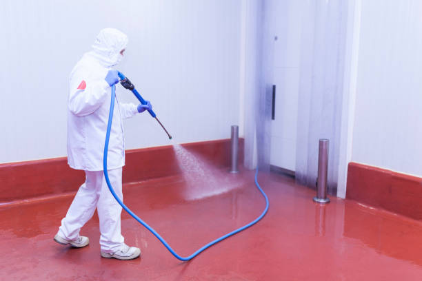 Best Graffiti Removal  in Walkerton, IN