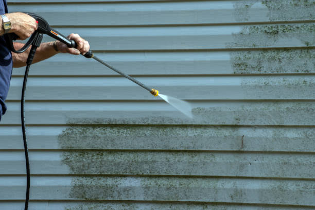 Best Pool Deck Cleaning  in Walkerton, IN